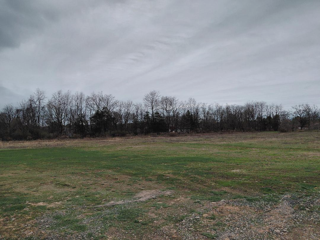 field.png
