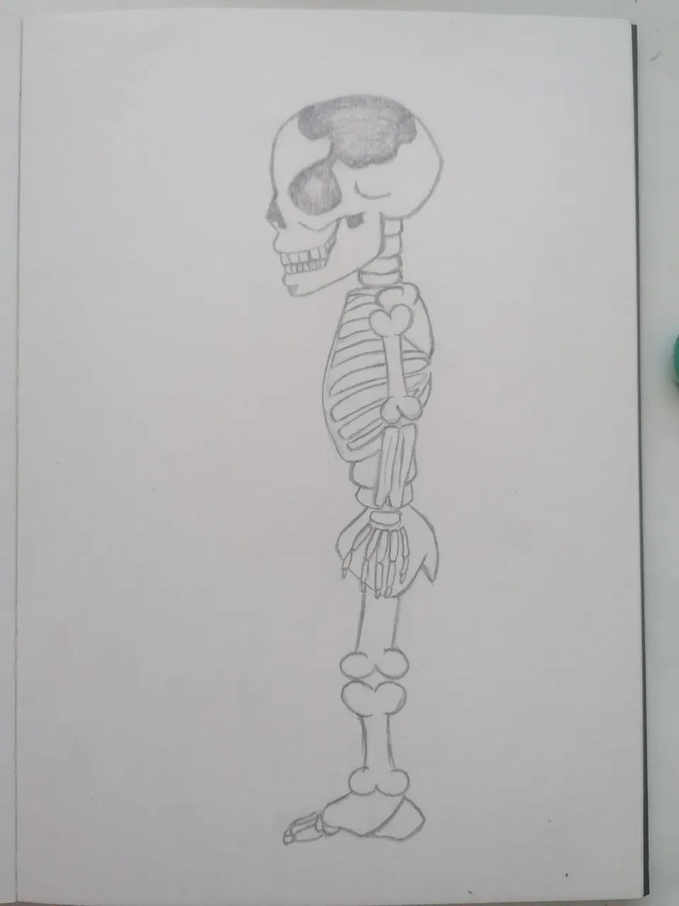 trinityart skeleton 8.jpg