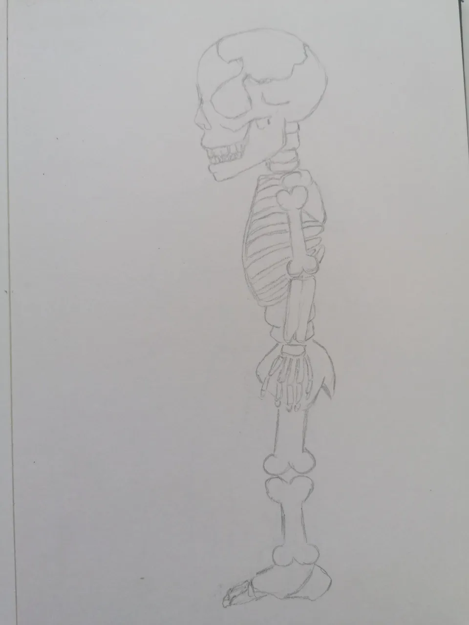 trinityart skeleton 2.jpg