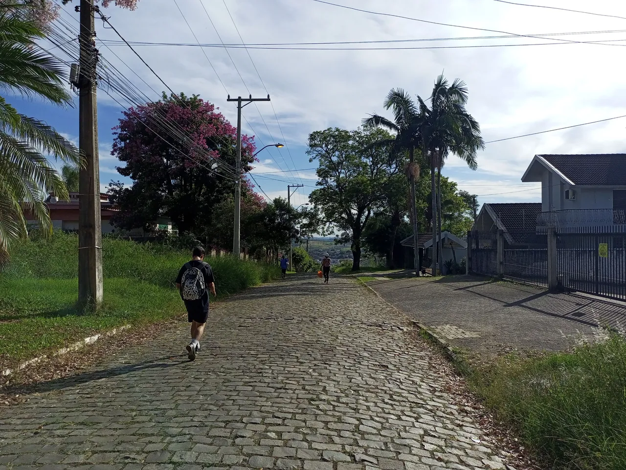 IMG_20230319_162133_251.jpg