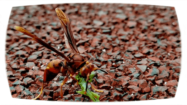 20230210_153338.gif