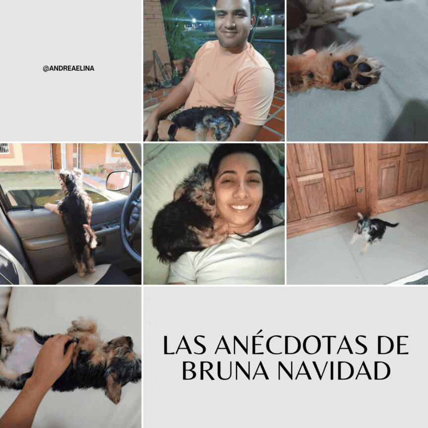 Grey White Minimalist Picnic Collage Instagram Post.gif