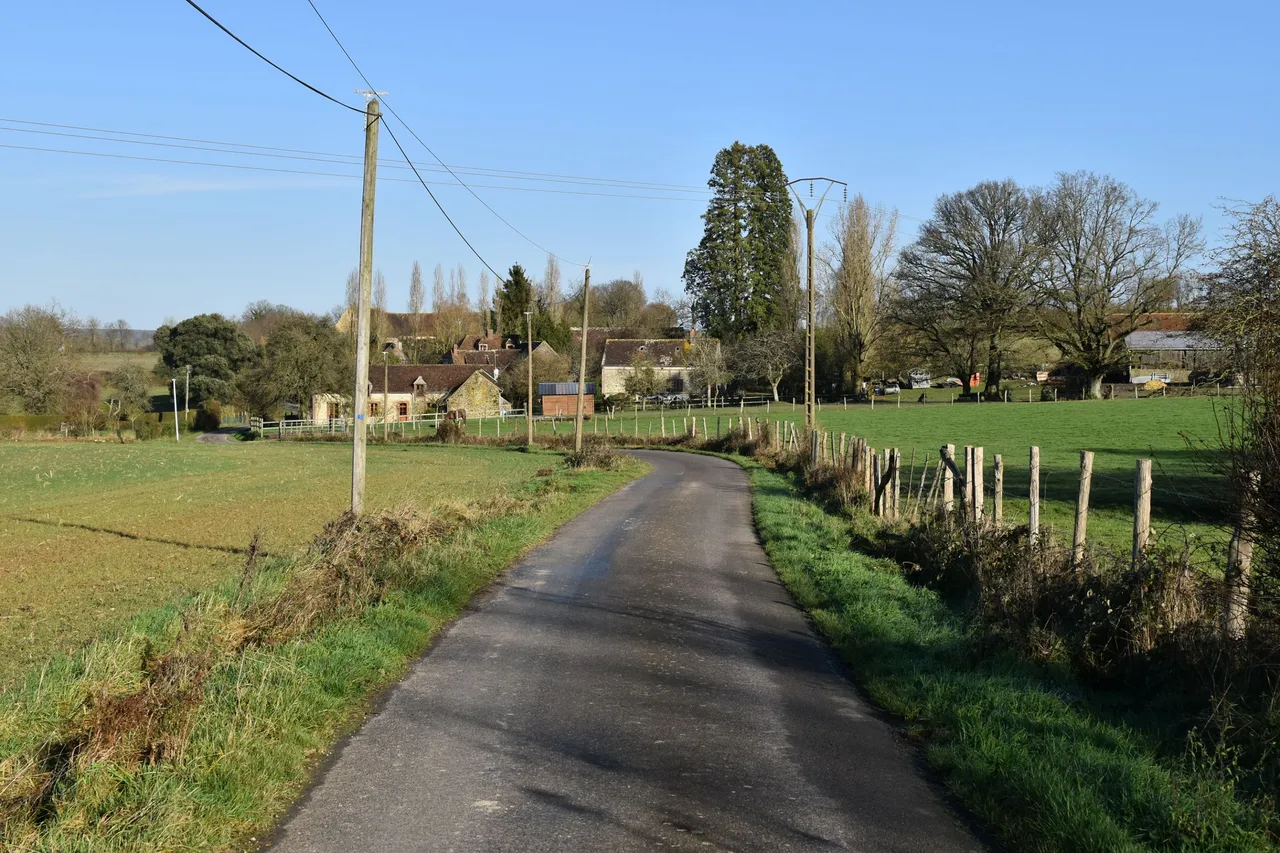 DSC_2551.JPG