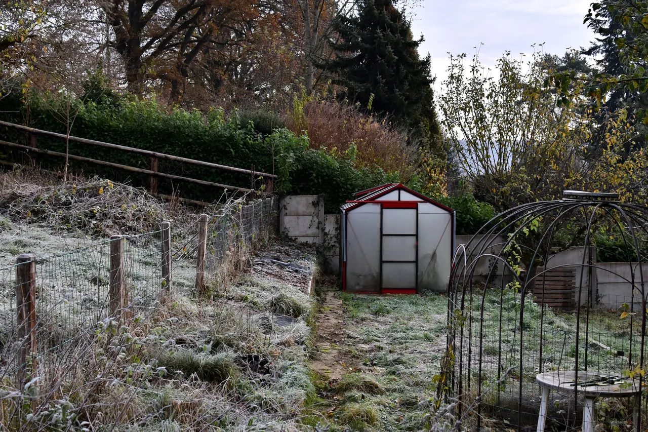 DSC_1078.JPG