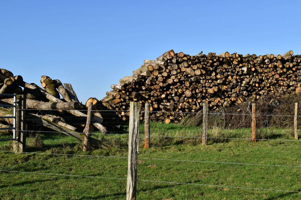 DSC_2621.JPG