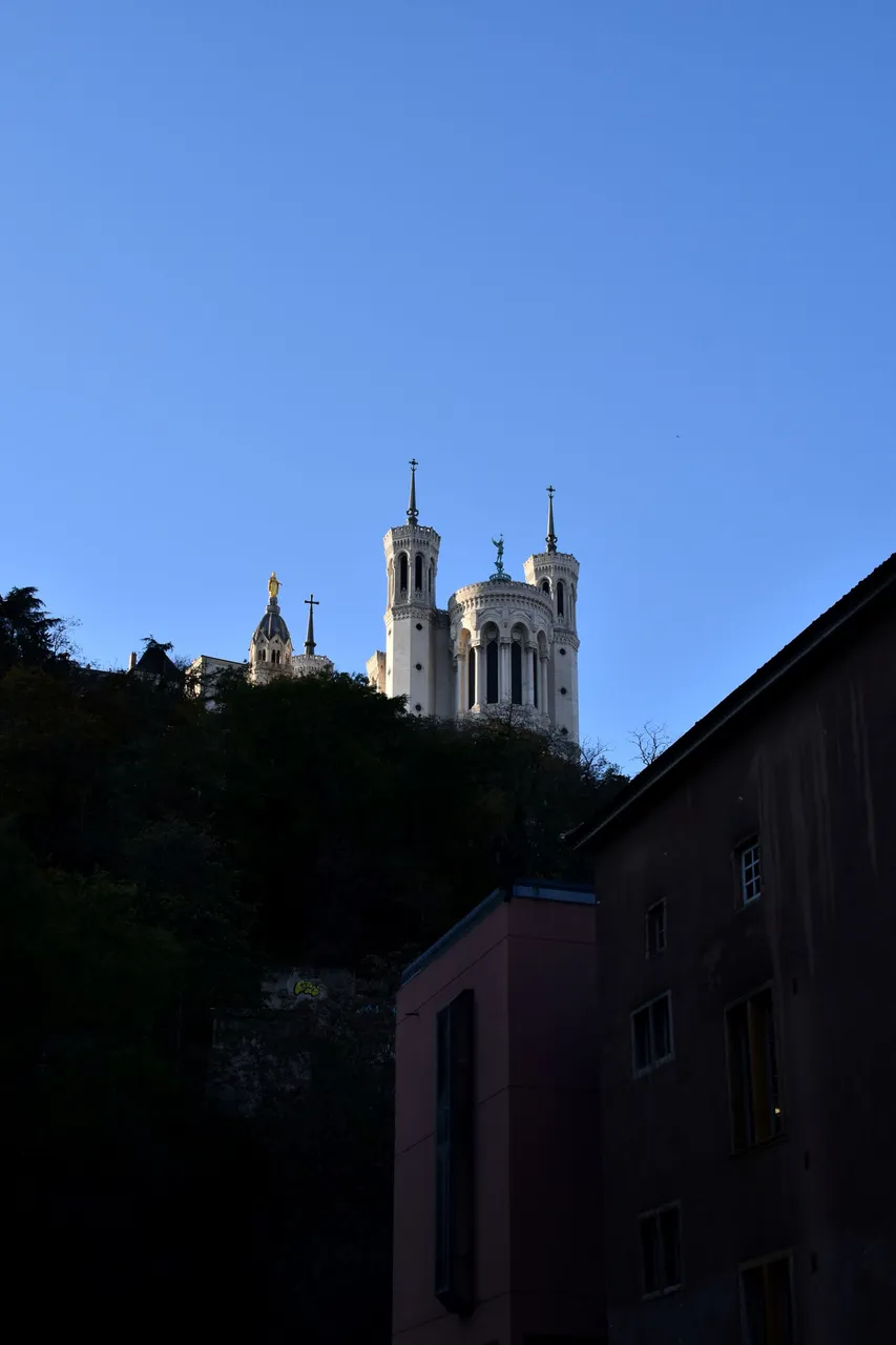 DSC_0693.JPG