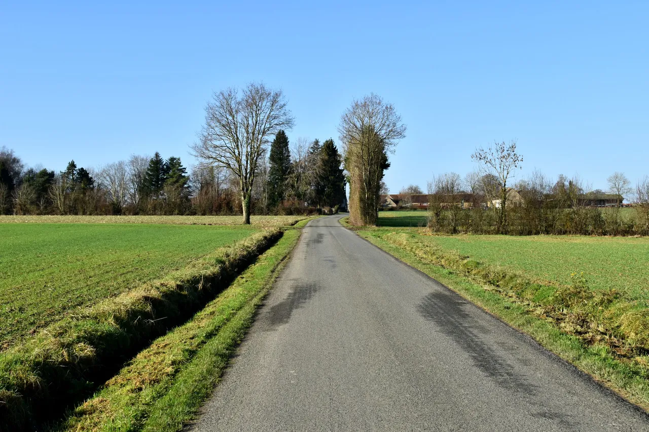DSC_2534.JPG