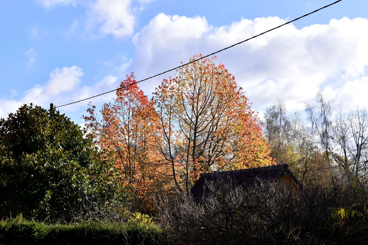 DSC_0888.JPG