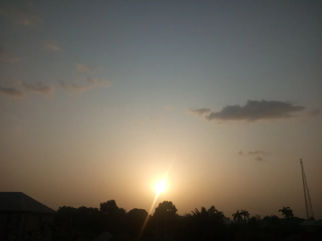 IMG_20211103_173525.jpg