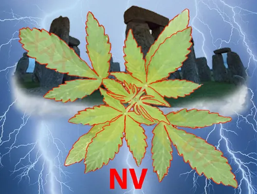NV.jpg