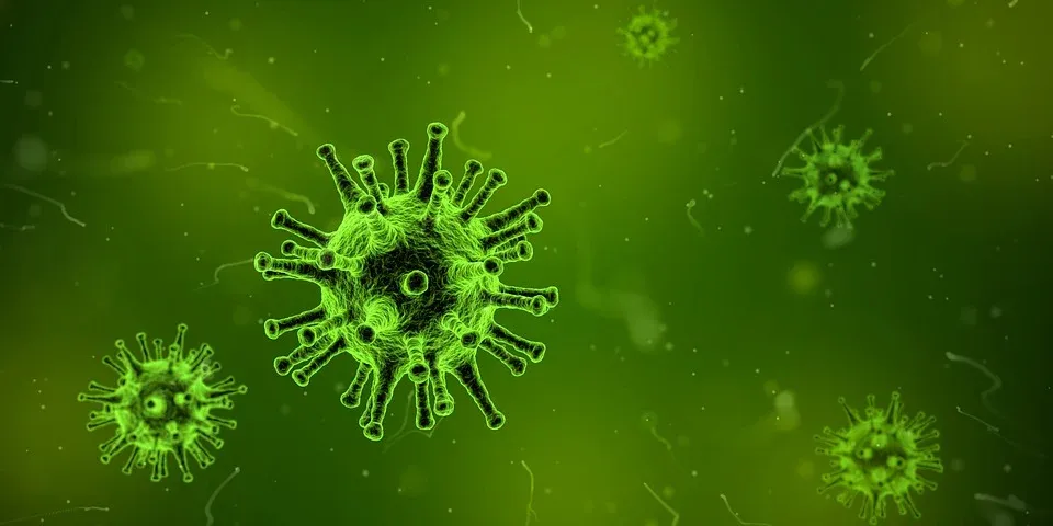 virus-1812092_960_720.webp