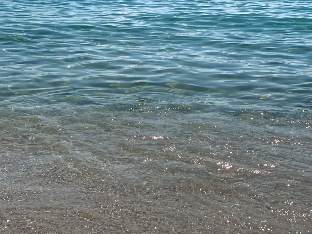 F1AB2DA3-842B-4A6B-A268-63905F96BE70.jpeg