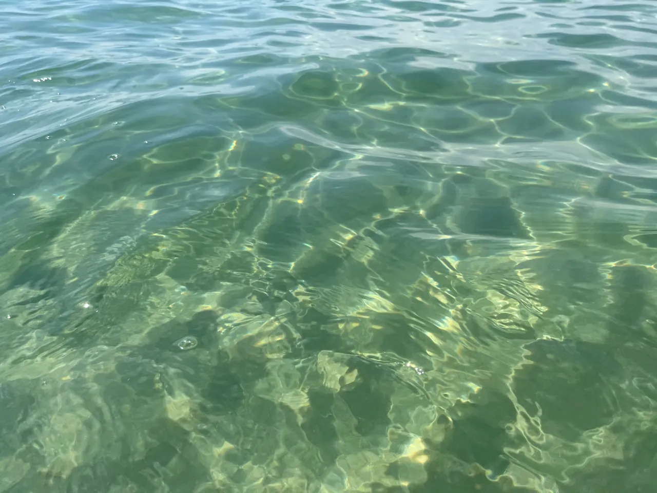 5C12C716-6603-49C6-B32C-F86198C0D2D5.jpeg