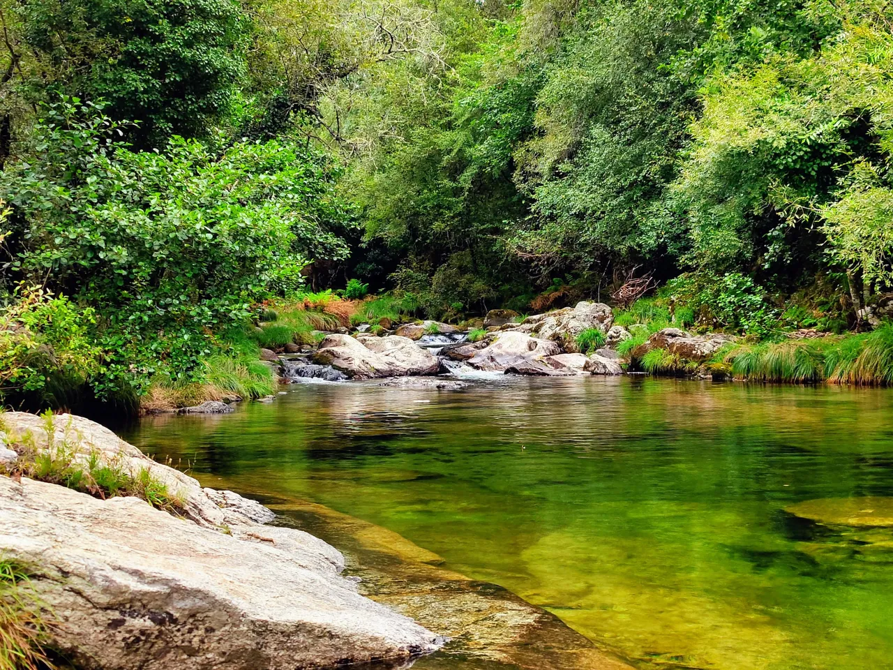 Portugal National Park #1