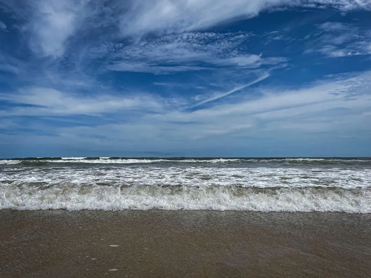 81884D18-E279-43BE-850D-8F5A91D74FB3.jpeg