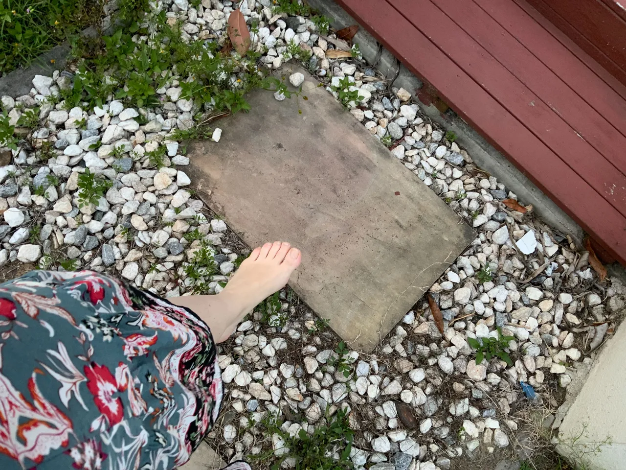 20211102_080019709_iOS.jpg