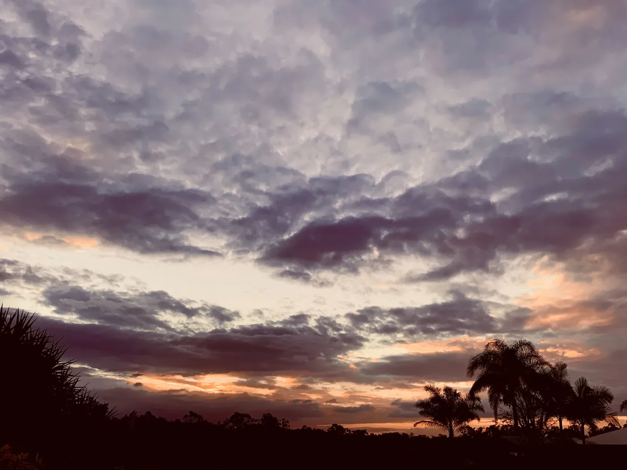 20211102_080057110_iOS.jpg