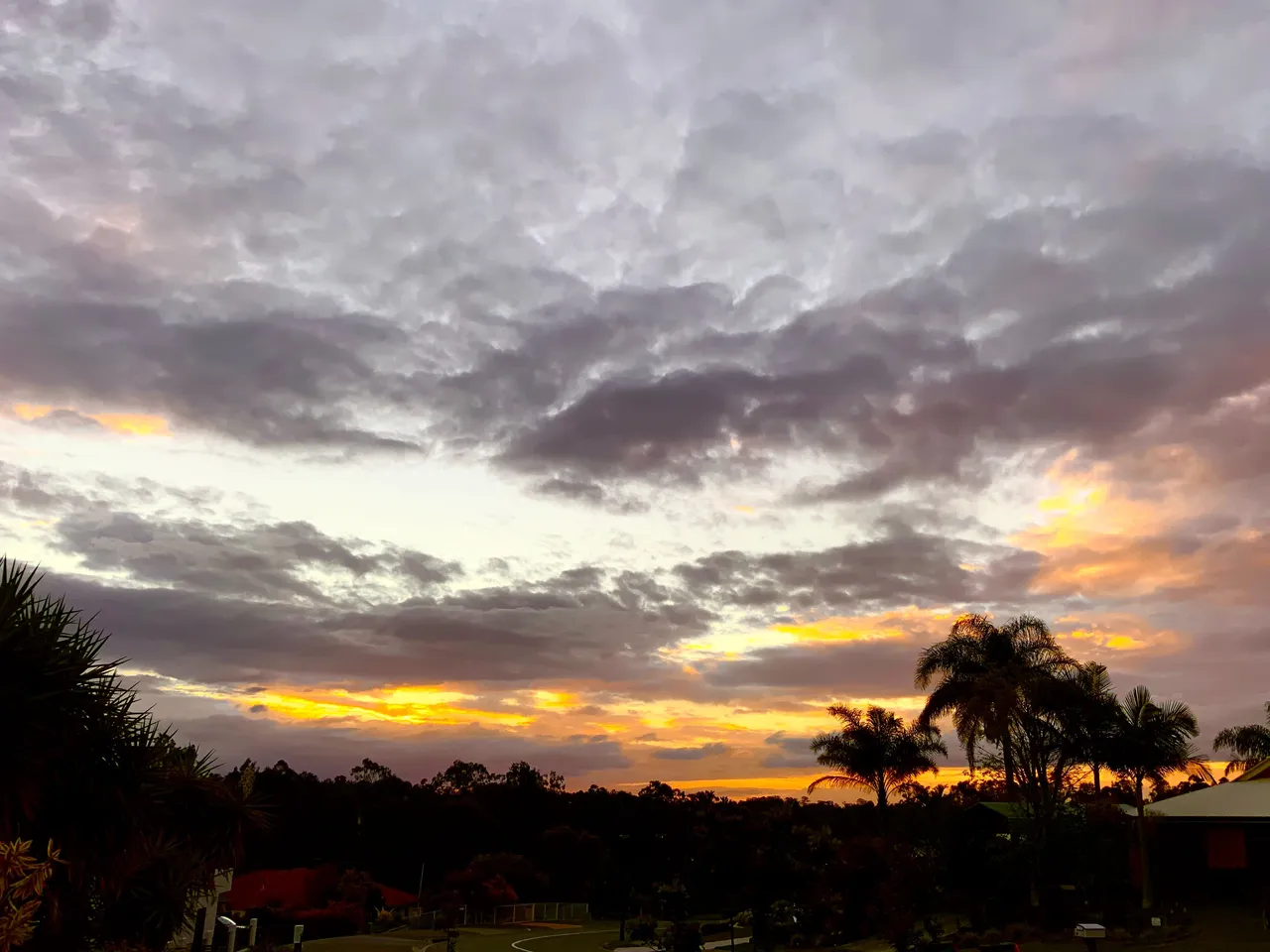 20211102_080054140_iOS.jpg
