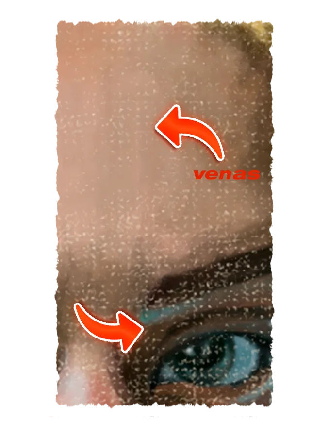 d5.png