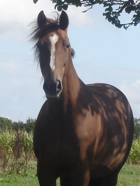 sept08 025.JPG