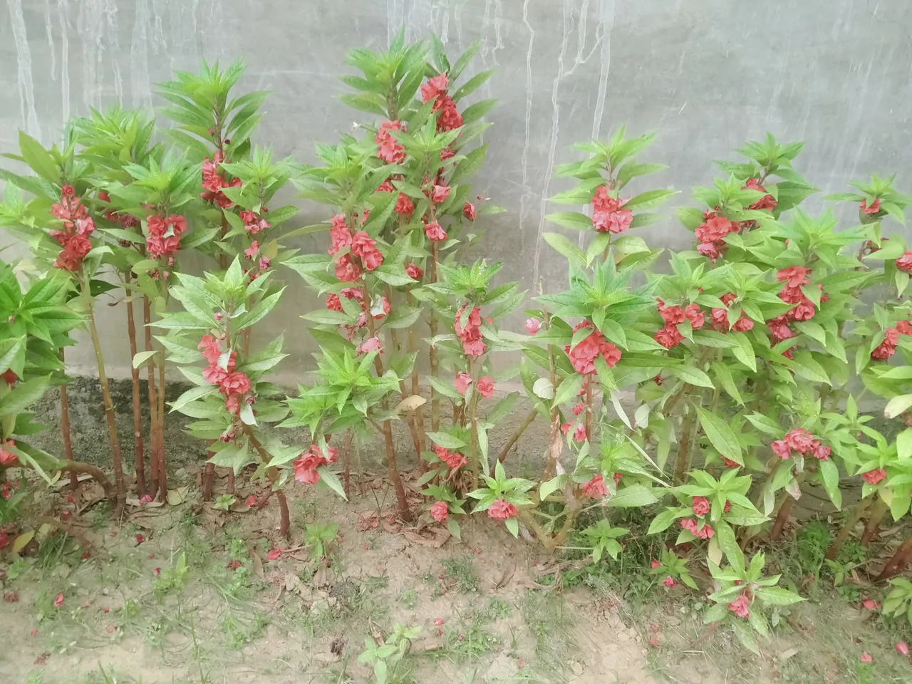 IMG20210306164614.jpg