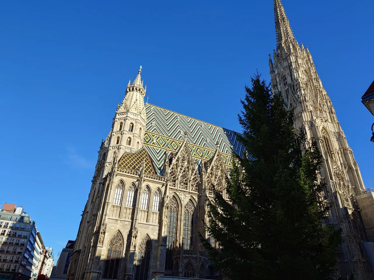 20231106_123640.JPG