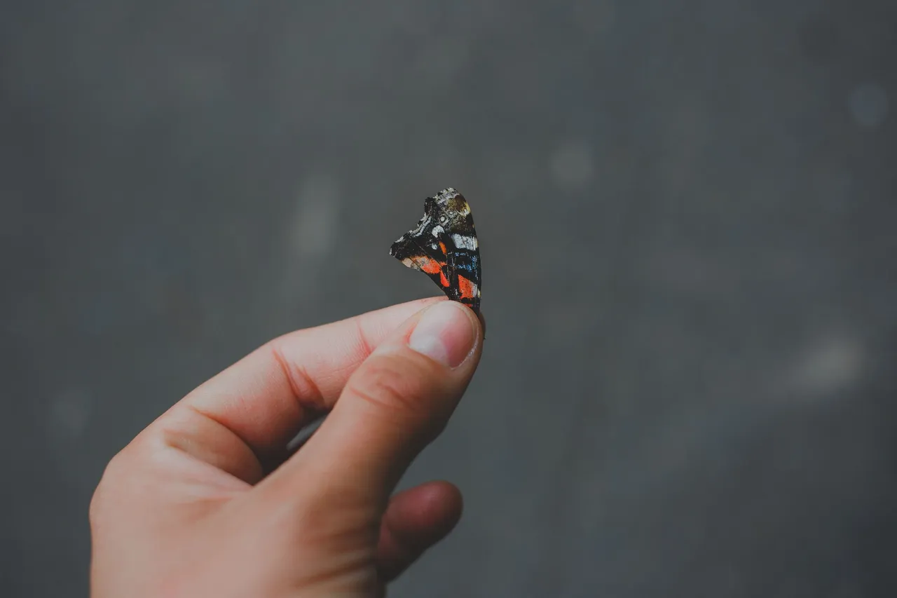 jasmin-schreiber-rgz1SE4ob9I-unsplash.jpg