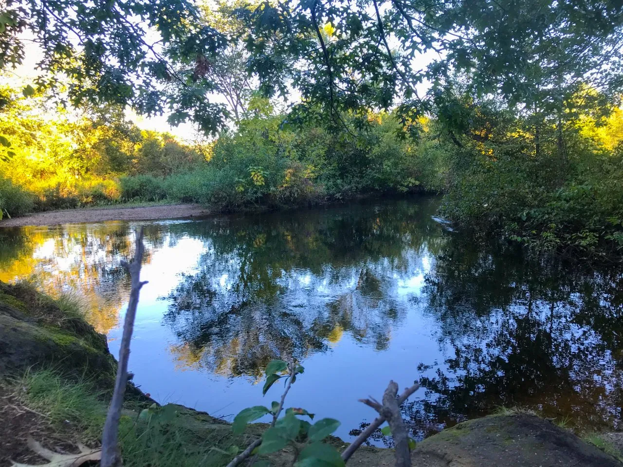 riv 3.jpg
