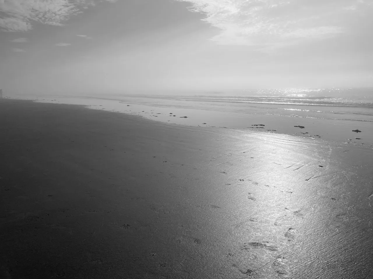 IMG_3793.jpg