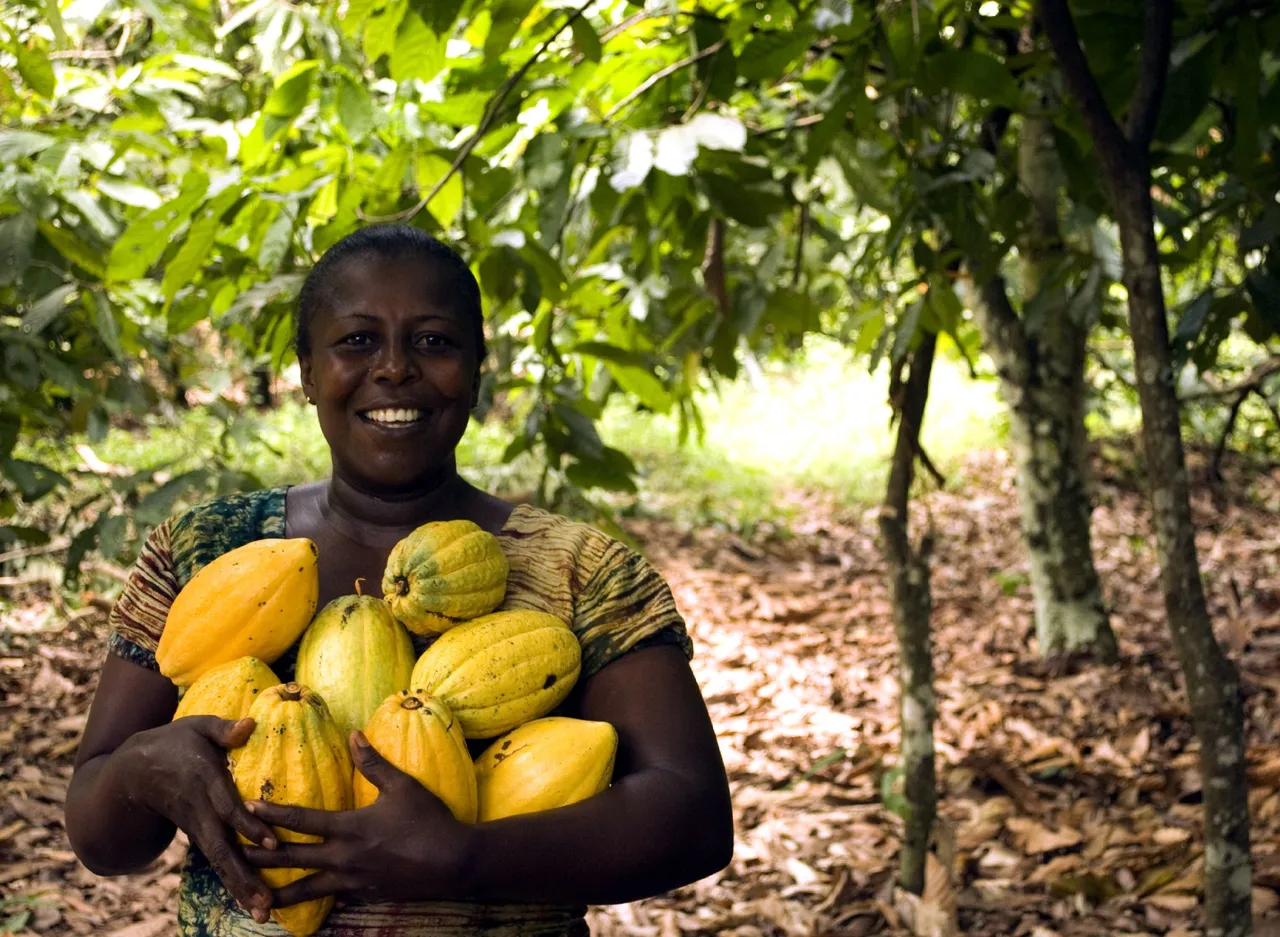 fruit-3247447.jpg