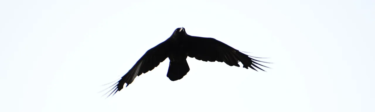 DSC_6038.jpg