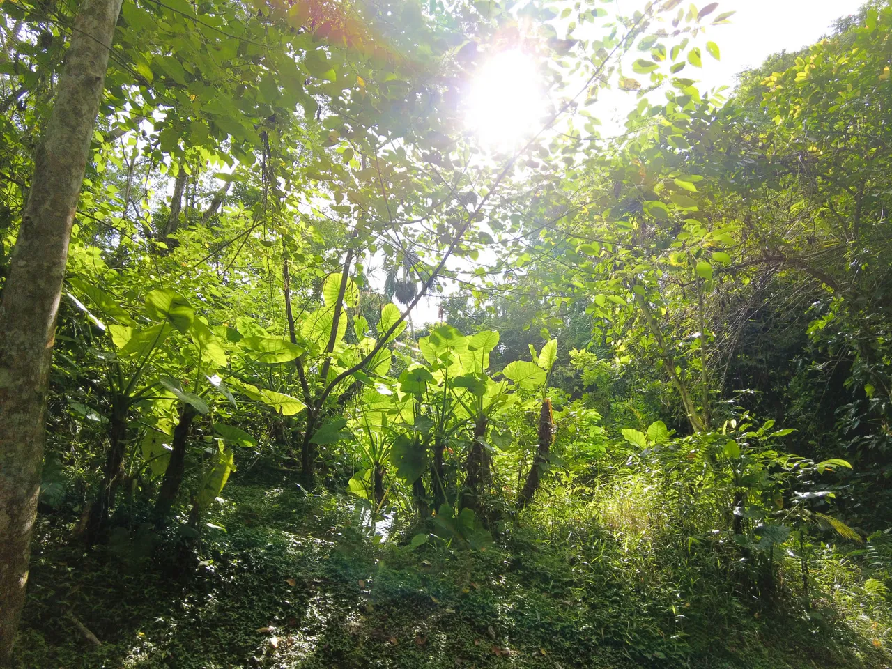 DJI_0959.jpg