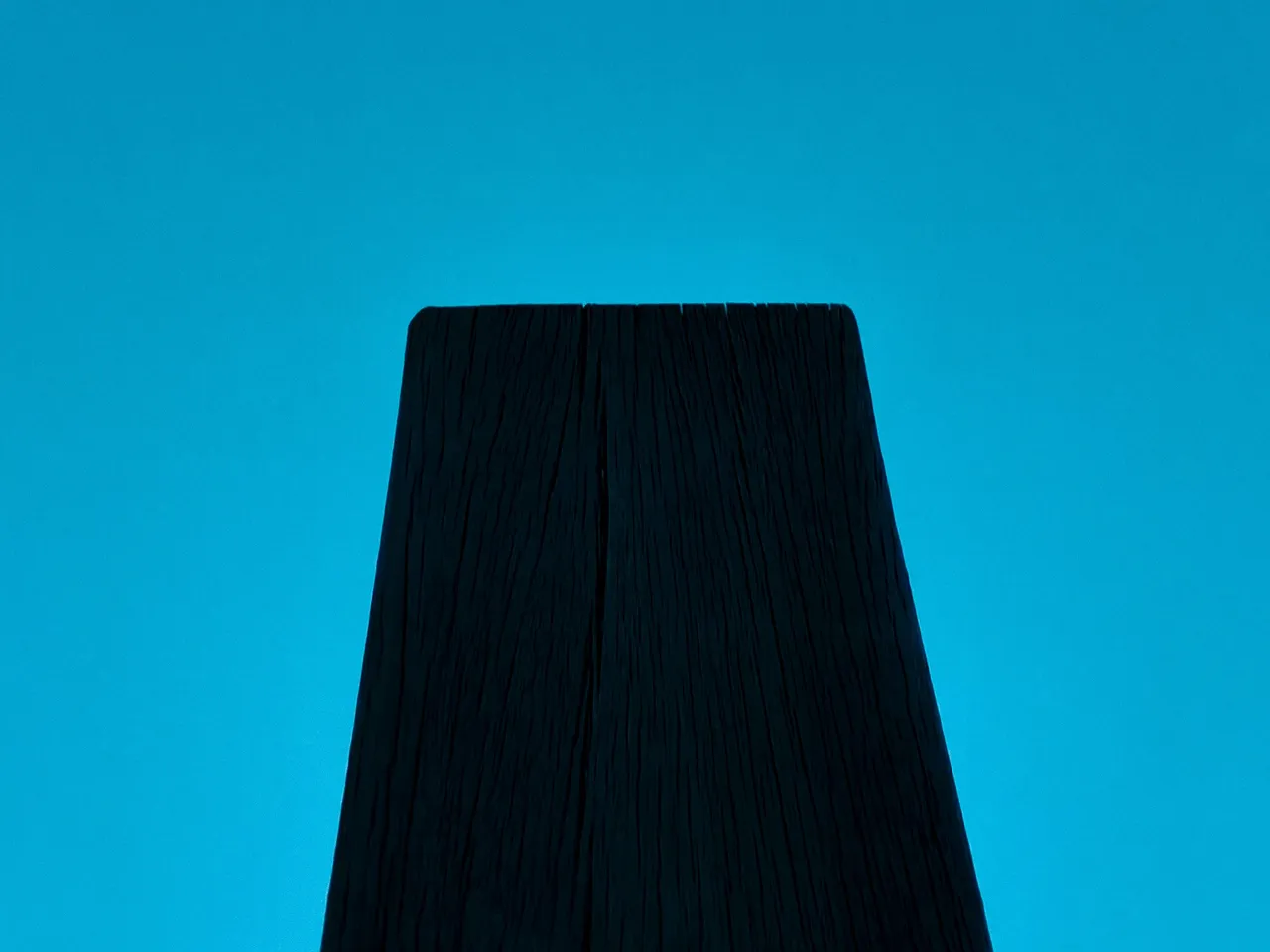 1000026307.jpg