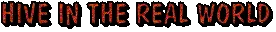 imagen.png