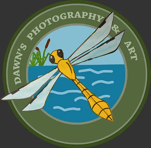 Dawns photography  Art  Dragonfly Logo _ 3 Small.jpg