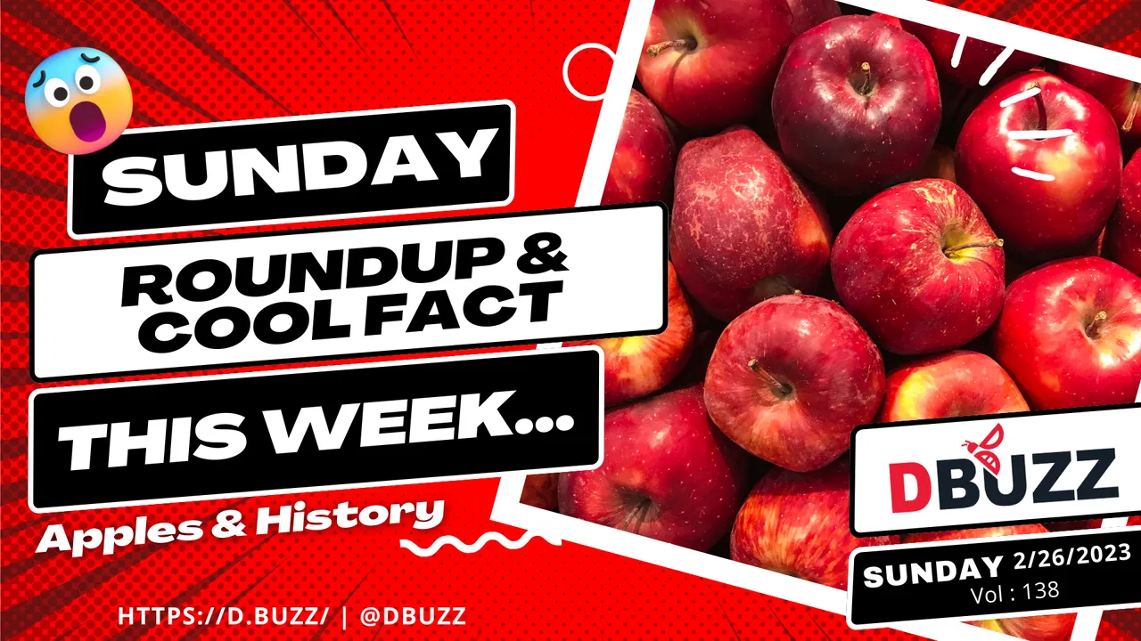 V2_Dbuzz_SundayPost.png