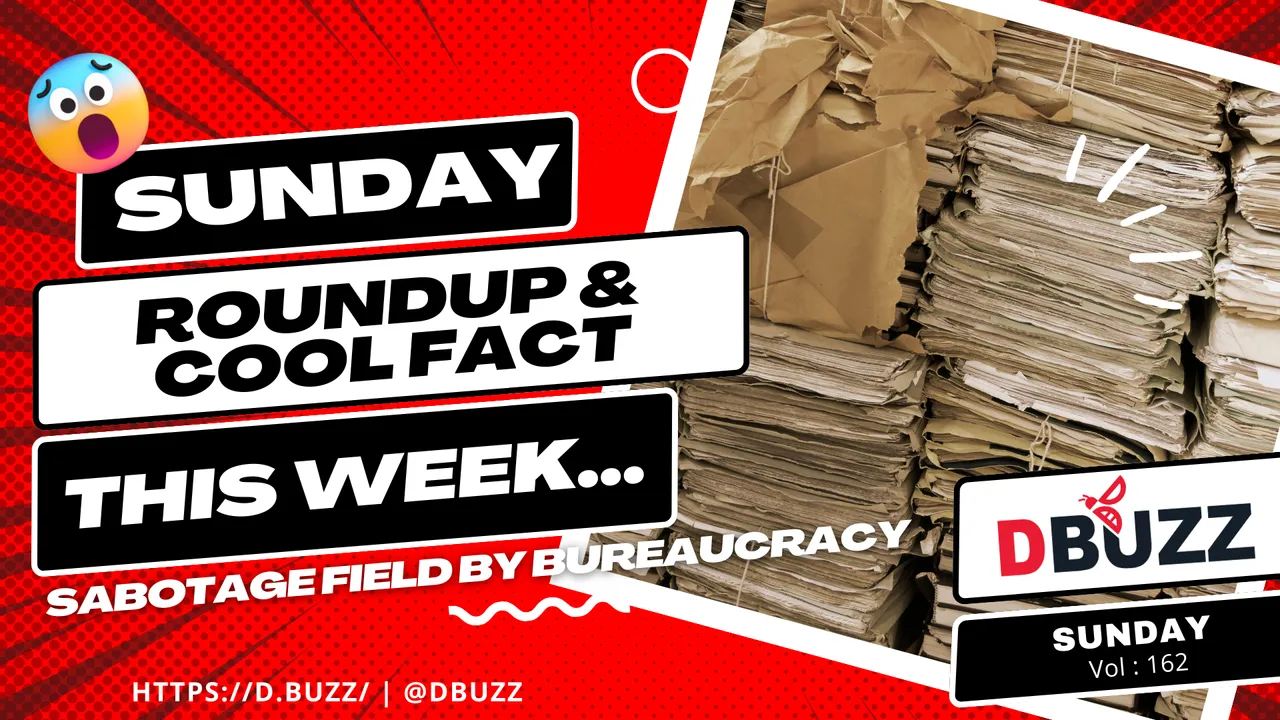 V2_Dbuzz_SundayPost.png