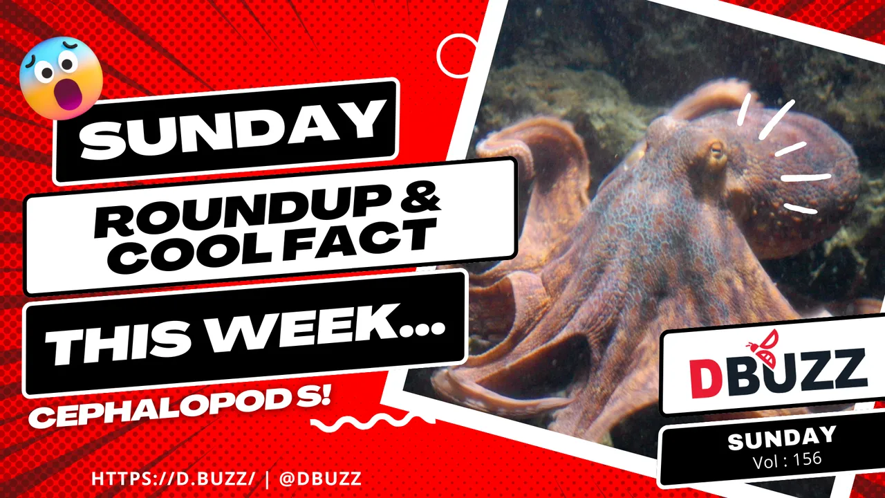 V2_Dbuzz_SundayPost.png