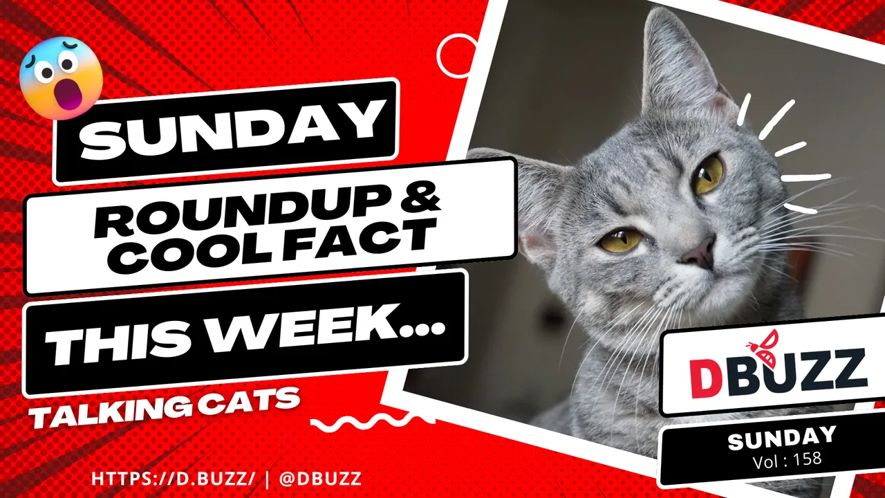 V2_Dbuzz_SundayPost.png