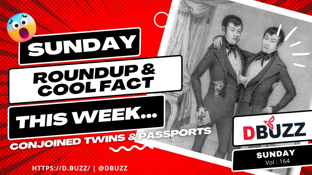 V2_Dbuzz_SundayPost.png