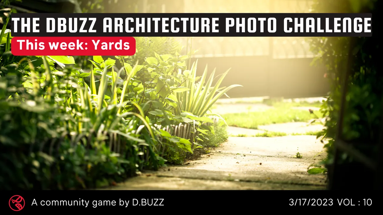 Dbuzz_PhotoFridayChallenge.png