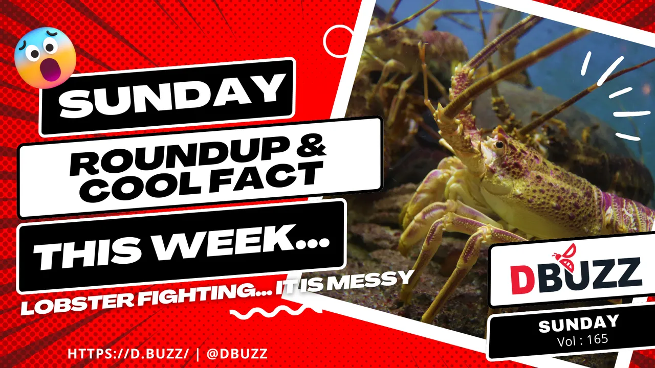 V2_Dbuzz_SundayPost.png