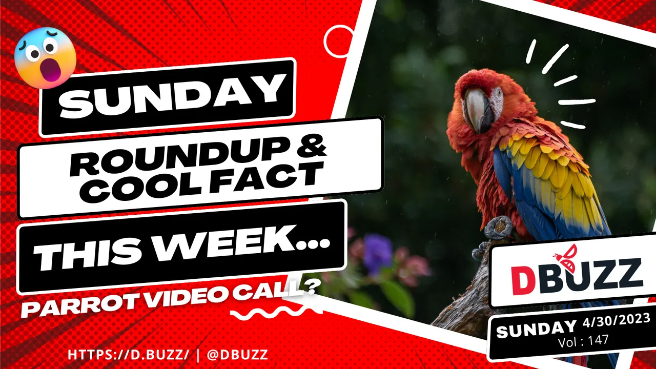 V2_Dbuzz_SundayPost.png