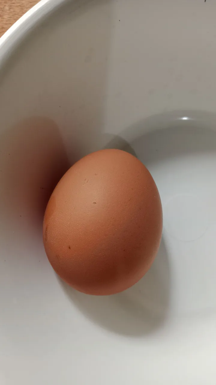 1000013926.jpg