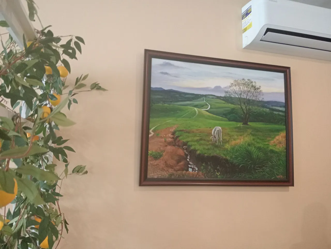 IMG20240225151818.jpg
