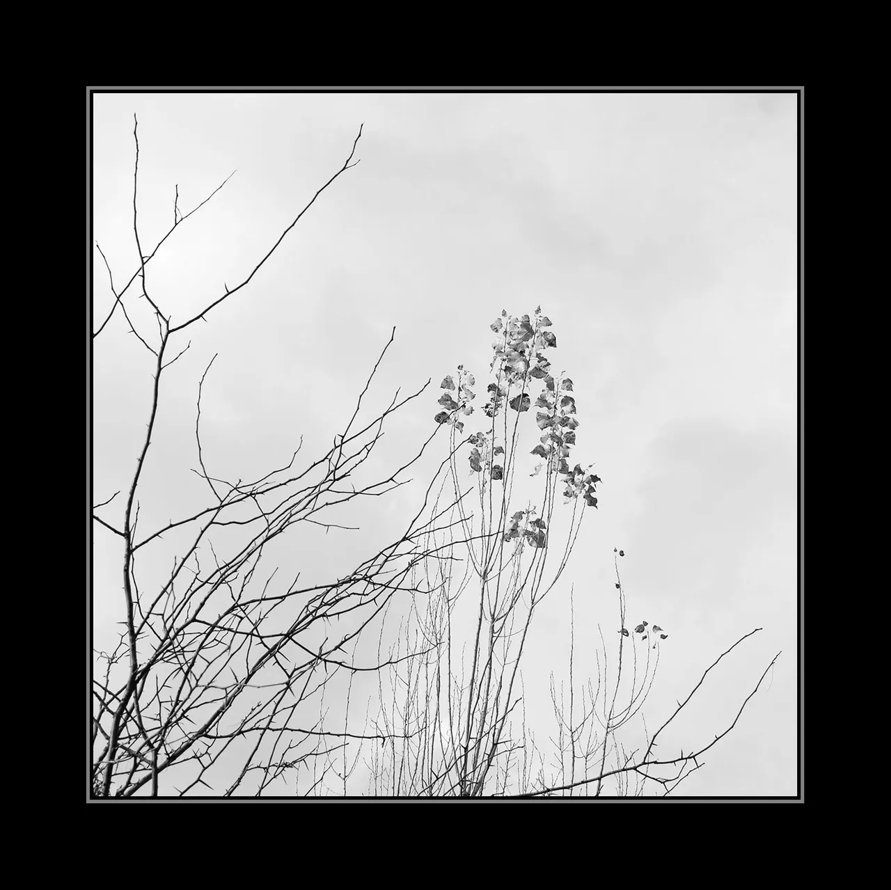IMG_0873.jpg