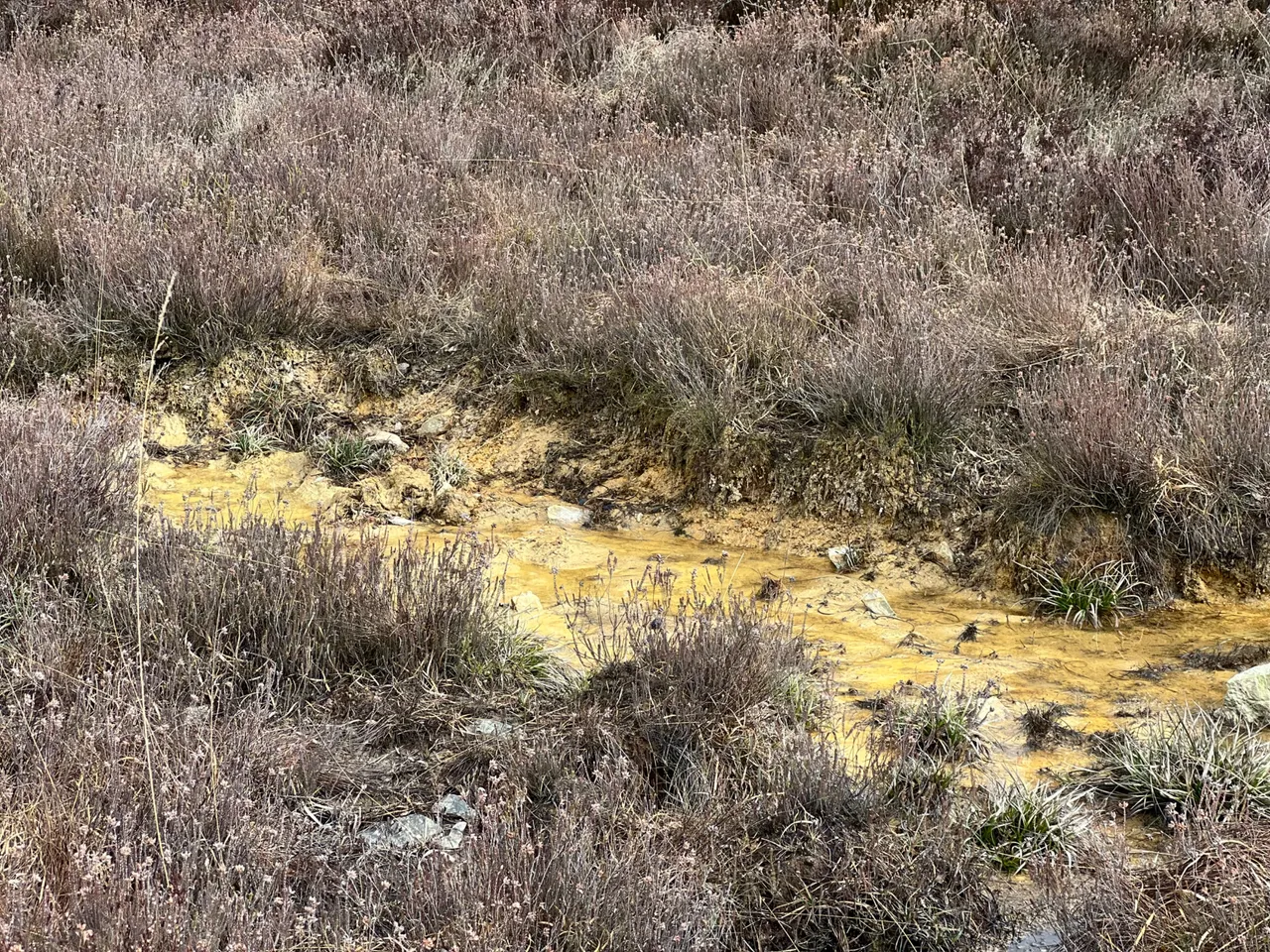 Struffelt water.jpeg