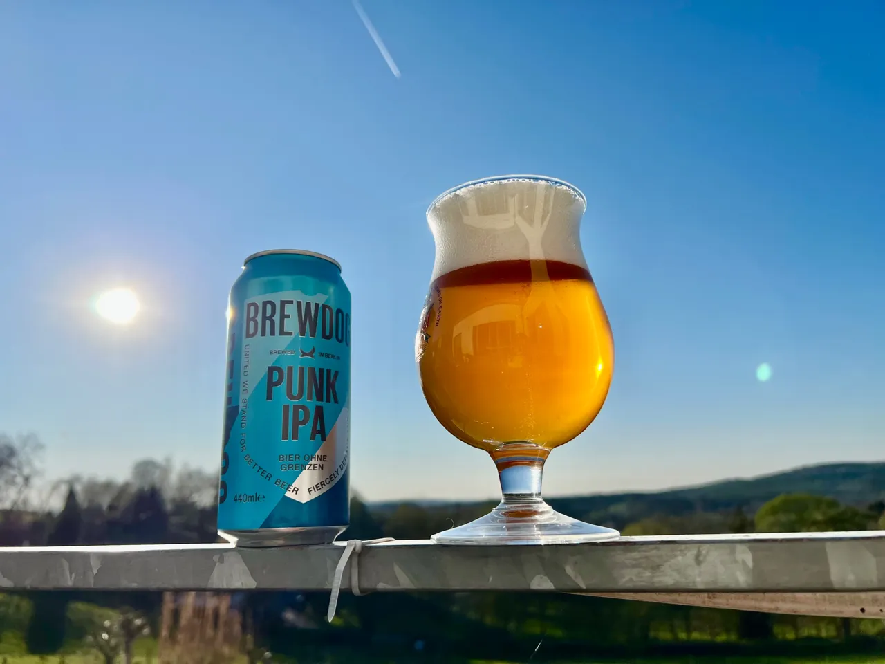 Punk IPA beer by brewdog.jpeg