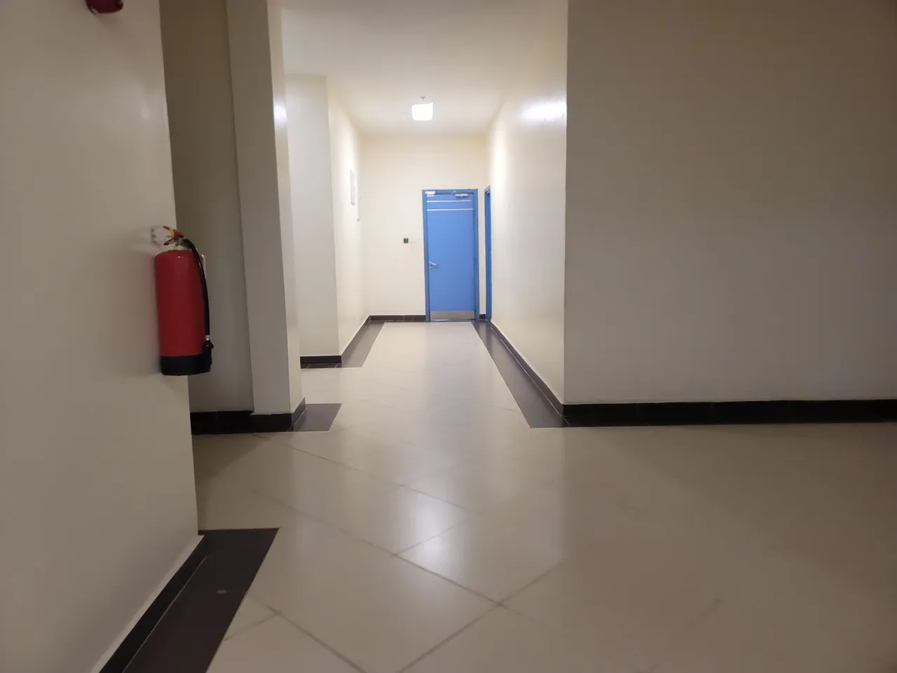 20250529_183100.jpg