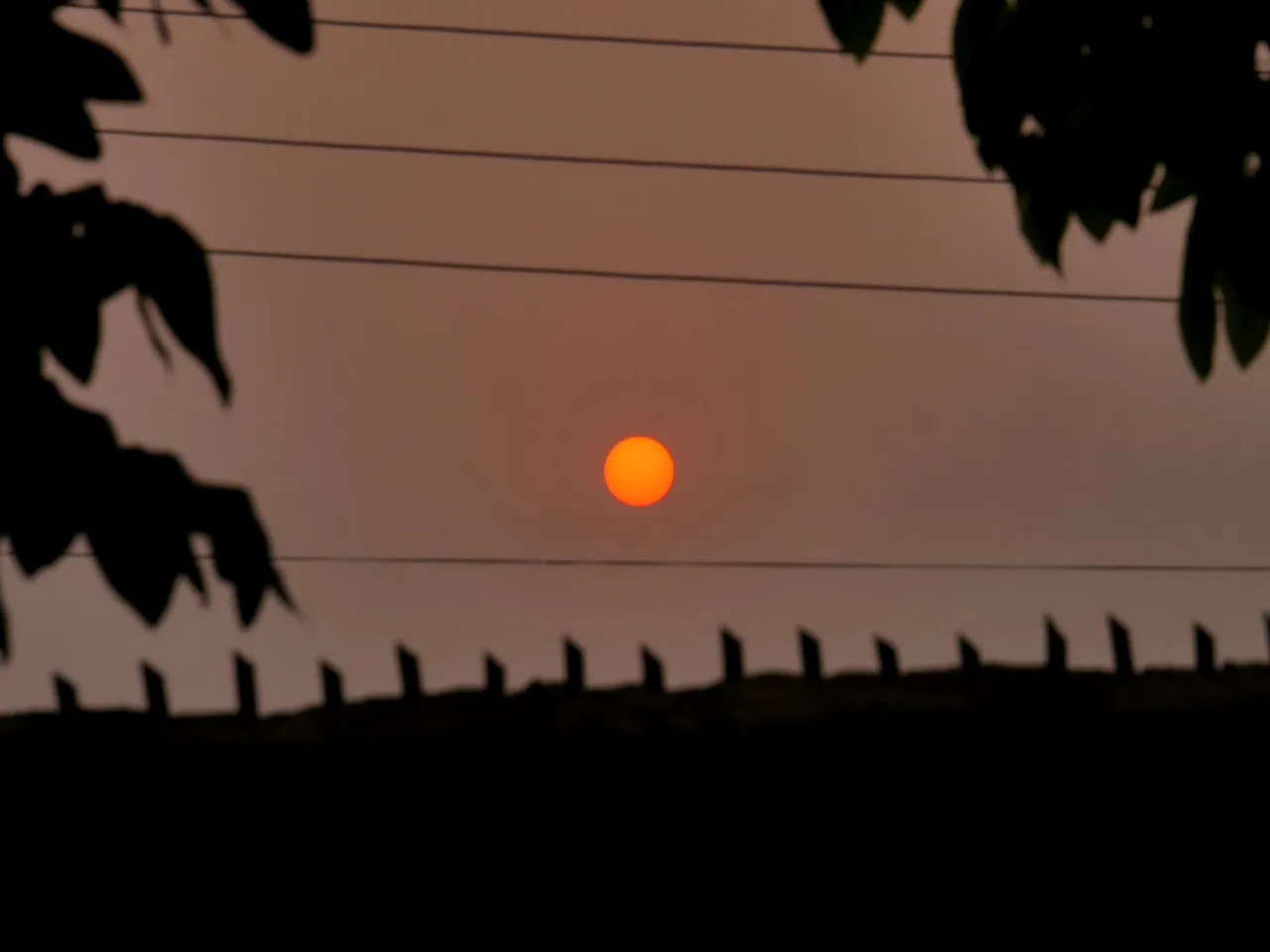 20220224_074641.jpg